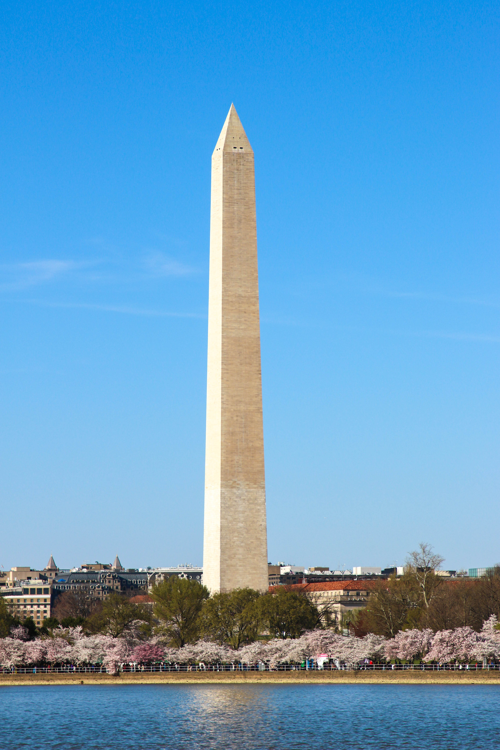 National_Mall_&_Memorial_Parks_(b4e7cad4-565d-4179-b2c2-d5803db58be0).jpeg